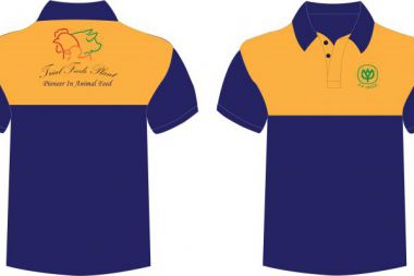 Áo Thun Cổ Trụ Màu Xanh Bích Phối Nửa Trên Màu Cam