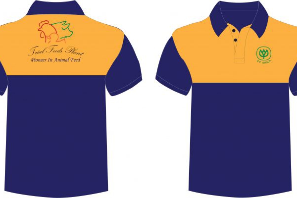 Áo Thun Cổ Trụ Màu Xanh Bích Phối Nửa Trên Màu Cam